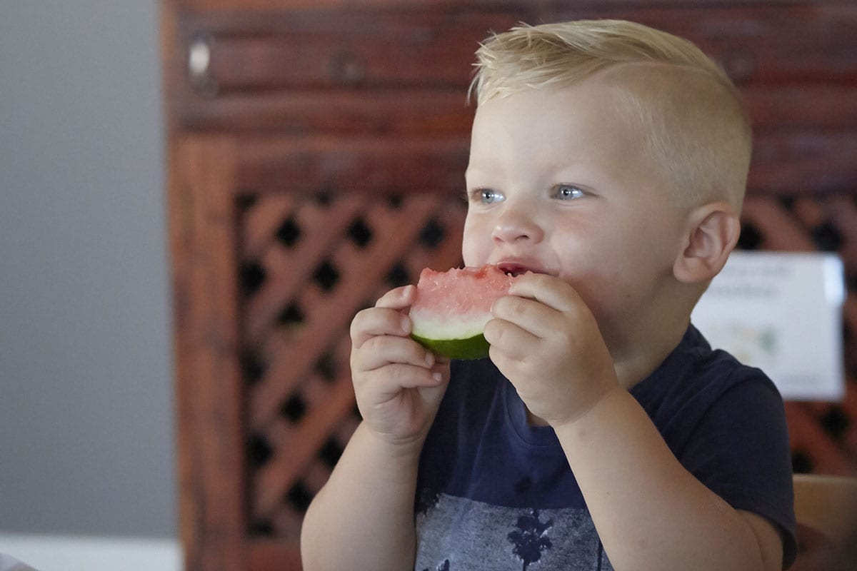 young boy eating watermelon