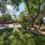 Going Bush: Why Bush Preschool is So Powerful for Young Learners